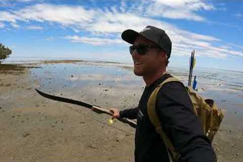 Bow n Arrow - GIANT MUD CRAB - Catch and Cook