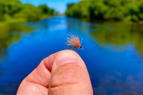 Dry Fly Fishing for Brown Trout