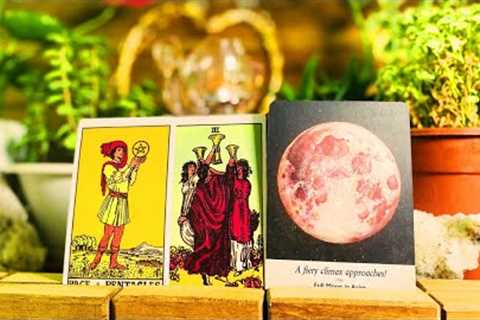 Taurus 🍀BELIEVE IT OR NOT TAURUS…BREAKING NEWS SOON !!! ♉️Money and Career Tarot Reading