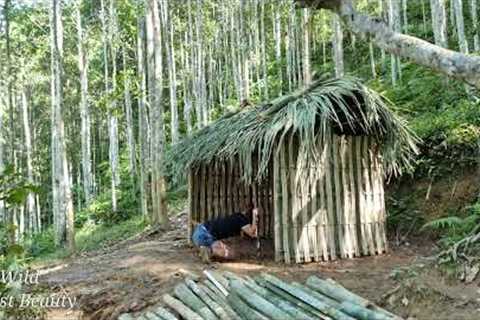 Survival, skills, survival shelter building skills, Wild forest beauty