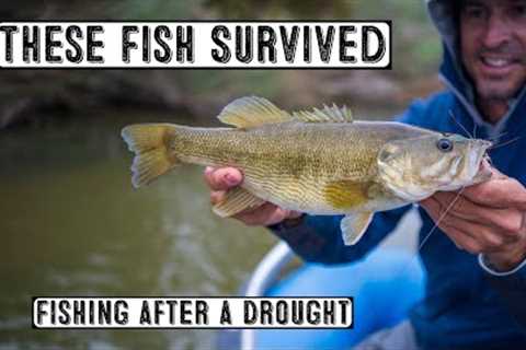 These Fish Survived - Fishing After A Drought