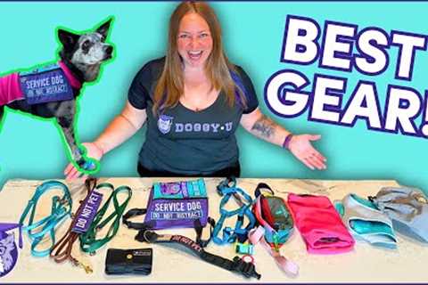 Must-Have SERVICE DOG GEAR: Professional Trainer Recommendations!