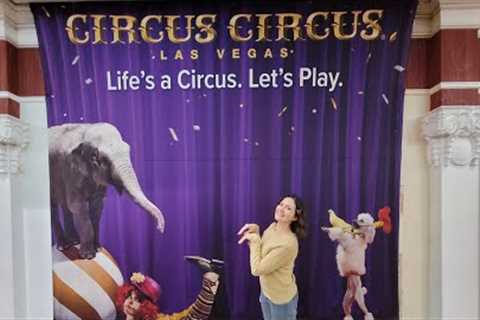 Las Vegas Vlog! Join us on our trip to Vegas! Excalibur, Circus Circus, shows and more!