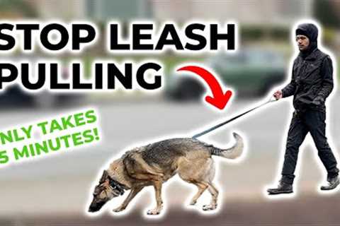 How to STOP LEASH PULLING in 15 Minutes (GUARANTEED RESULTS)