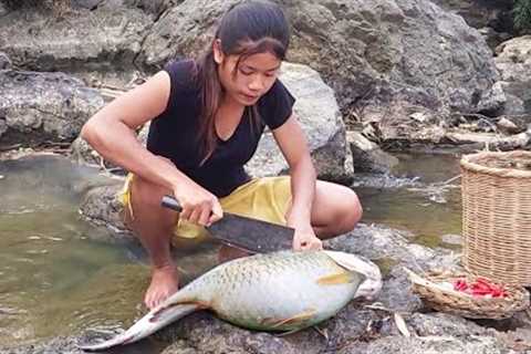 Yummy Biggest Fish! Cooking big fish with Eggs for survival food while in the forest @lisaCooking2