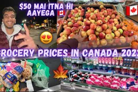 Grocery prices in canada in 2023🇨🇦 | Grocery shopping vlog | ONE WEEK GROCERY PRICE IN CANADA