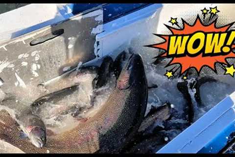 11/22/23 MASSIVE STOCKING - HUGE SUPER TROUT, TROPHY TROUT &amp; SIERRABOWS AT SANTA ANA RIVER LAKES