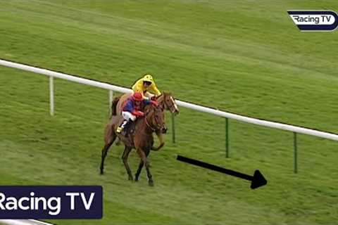 You won't believe what happens at the end of this race