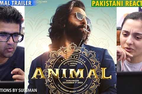 Pakistani Couple Reacts To ANIMAL Trailer | Ranbir Kapoor | Rashmika | Anil K | Bobby Deol