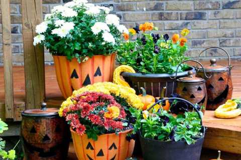 Save Money and Get More Out of Your Fall Flower Planters