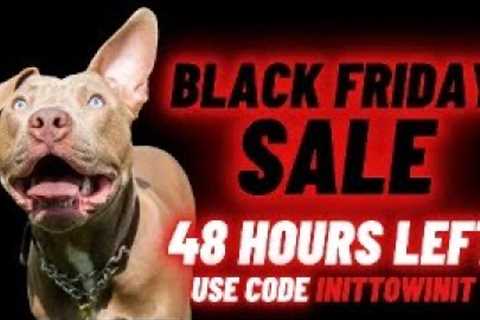 How to Choose the BEST Training for Your Dog Or Puppy!  Live Deep Dive on All Options
