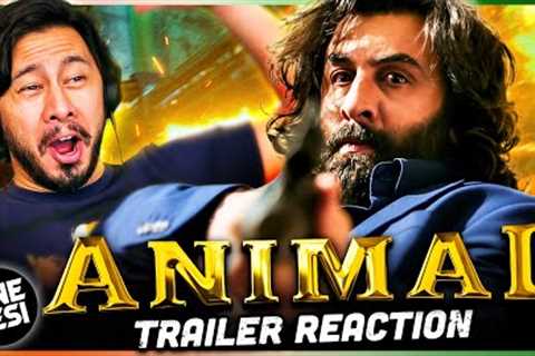 ANIMAL OFFICIAL TRAILER REACTION! Ranbir Kapoor | Rashmika M, Anil K, Bobby D