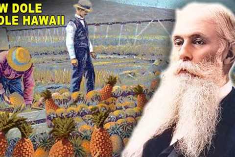 How Hawaii Was Stolen by a Fruit Juice Company