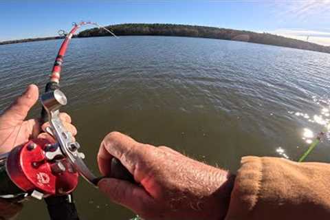 The Bite is On!  Going After Monsters at Fishing Creek Lake!