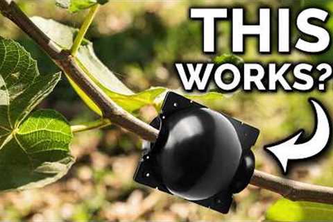 7 Incredible Gardening Hacks That ACTUALLY Work