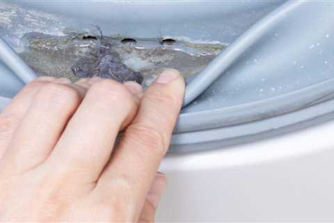 Why Does My Washing Machine Smell So Bad?