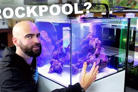 Making FIRST SALTWATER Tank in the Studio (EP1)