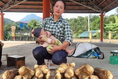 Harvesting cassava to sell at the market and gardening is a lonely mother's life