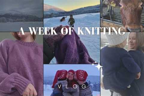Knitting In Winter Wonderland // A Week Of Knitting Vlog