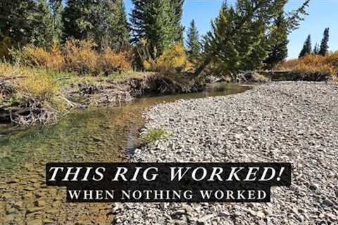 This Fly Fishing RIG is super EFFECTIVE...unexpected results in tough conditions!