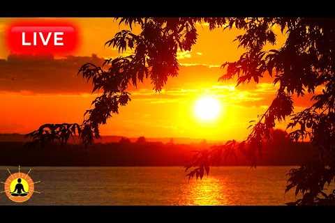 🔴 Relaxing Music 24/7, Deep Sleep Music, Stress Relief Music, Calming Music, Sleep Meditation, Yoga