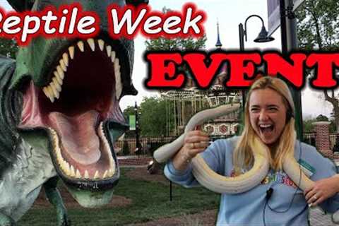 We Brought 20+ LIVE REPTILES to the Children's Museum!