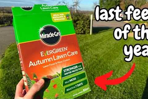 Why You Should Still Fertilise Your Lawn - Last Feed of the Year!