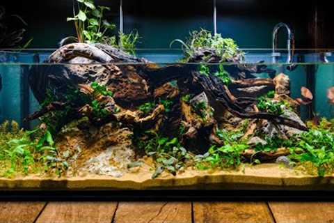 Perfecting the Low Tech Fish Tank in DIY IKEA Aquarium