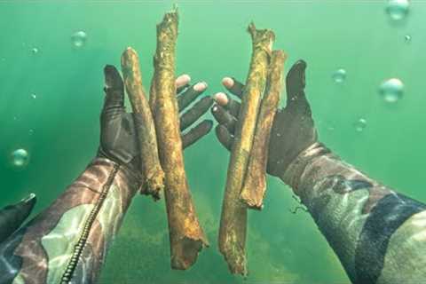 I Found a Human Skull, Arm and Leg Bones Underwater (POLICE CALLED)
