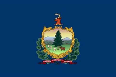 Are Tasers Legal in Vermont? What You Need To Know