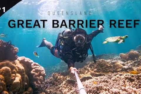 THIS IS EVERY SCUBA DIVER'S DREAM DIVE SITE 🤿