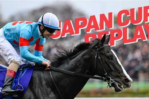 What A Champion! The World's Best Horse Equinox Is Unbelievable In Winning The 2023 Japan Cup.