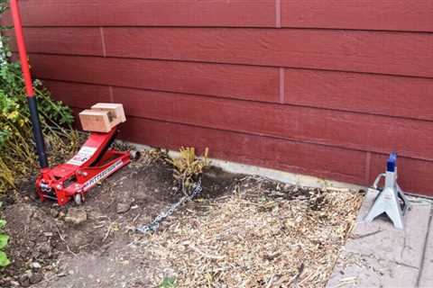 How To Remove Shrubs and Shrub Roots