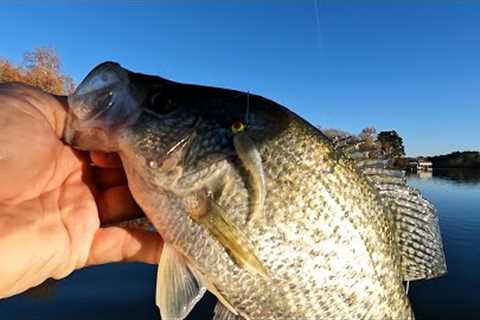 Live Bait Pour To Catch/Great Clear Water Color