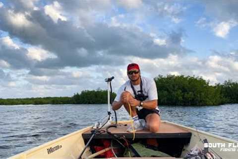 I use this super light battery to catch a fish {catch &amp; cook}