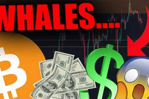 THESE WHALES JUST SOLD EVERYTHING [DONT MAKE THIS HUGE MISTAKE!]