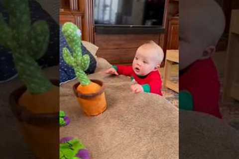 cute babies funny video|| babies laughing video #shorts #youtubeshorts #trending