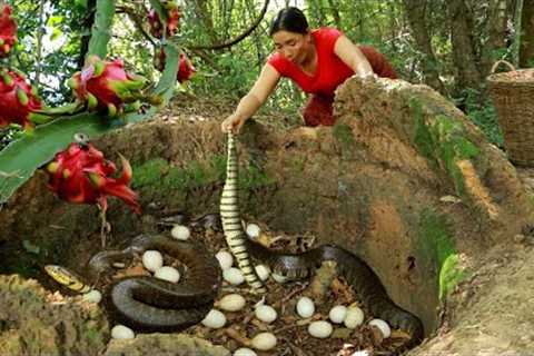 Adventure in forest- Catch big snake and pick egg for food- Cooking egg curry spicy so delicious