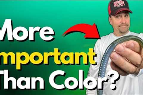 I've Started Thinking About Lure Color Like This
