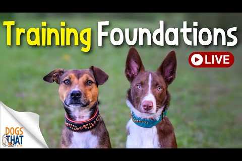 Dog Training Foundations for LIFE or for SPORT