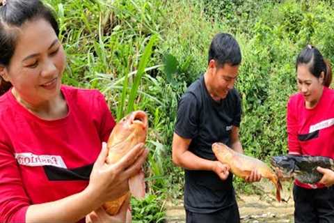 Catching Giant Fish in the Stream - The Amazing Adventure of Ly Tieu Trang's Family