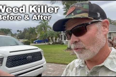 Florida Weed Control With Results Available at Most Local Stores