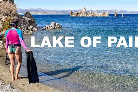 This water will wreck you - Embodying the scuba diving fly at Mono Lake, California