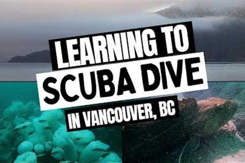 The SCUBA Training Process Vancouver, BC (With DivingSports)