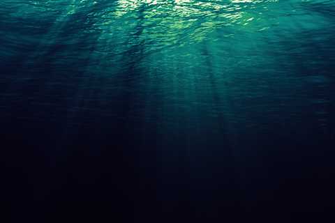 Deep Sea Mining Could Harm Jellyfish Populations, New Study Finds