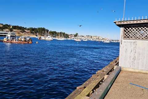 Monterey Adventure
