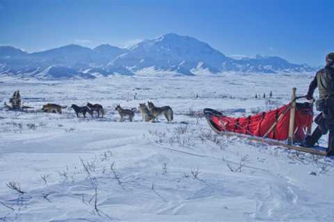 Embracing Alaska’s Winter Wonderland: A Guide to Weathering the Chill in Anchorage