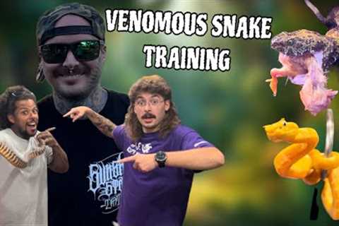 I'm a teacher now?  (Venomous Snake Training) with @TylerNolan