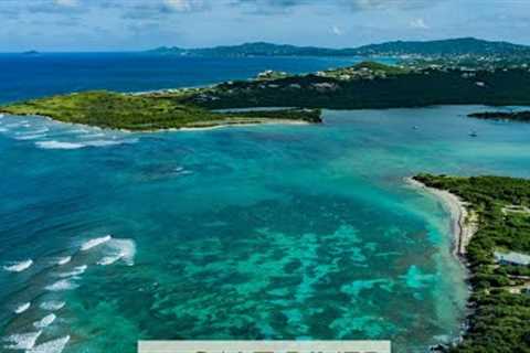 Private Beachfront Villa Pool Rental St. Croix Chris Hanley Real Estate Caribbean Retreat Swim Scuba