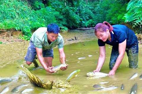 A warm, happy meal with the KONG family. Carp harvesting. Repair leaking dam